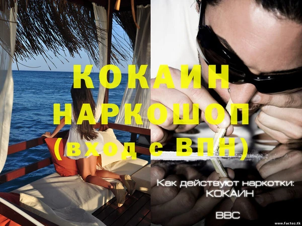 прущие крисы Алексин