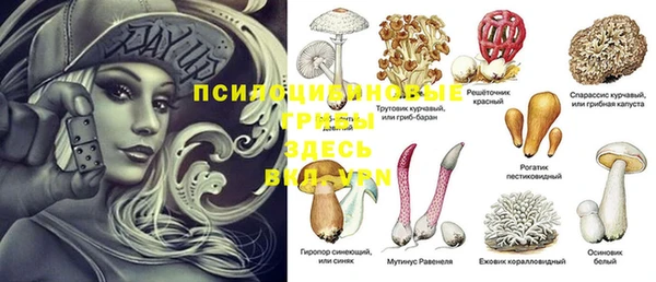 мет Алзамай