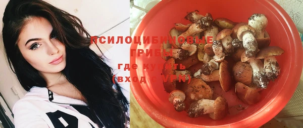прущие крисы Алексин
