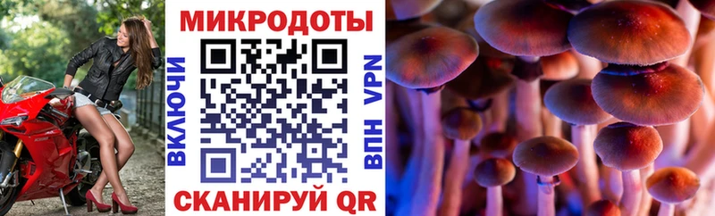 Псилоцибиновые грибы ЛСД  купить   Анива 